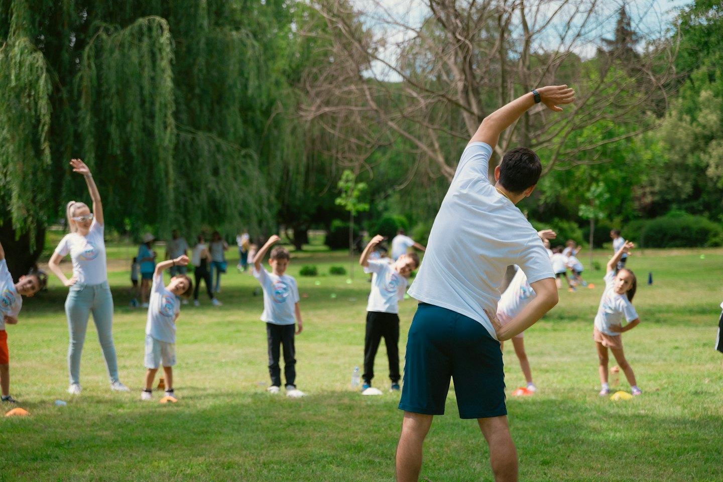 Adultos y niños haciendo estiramientos al aire libre en un campo soleado.